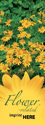 Flowers thumbnail