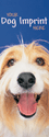 Dog thumbnail