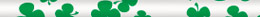 Shamrocks (TPP-MC04)